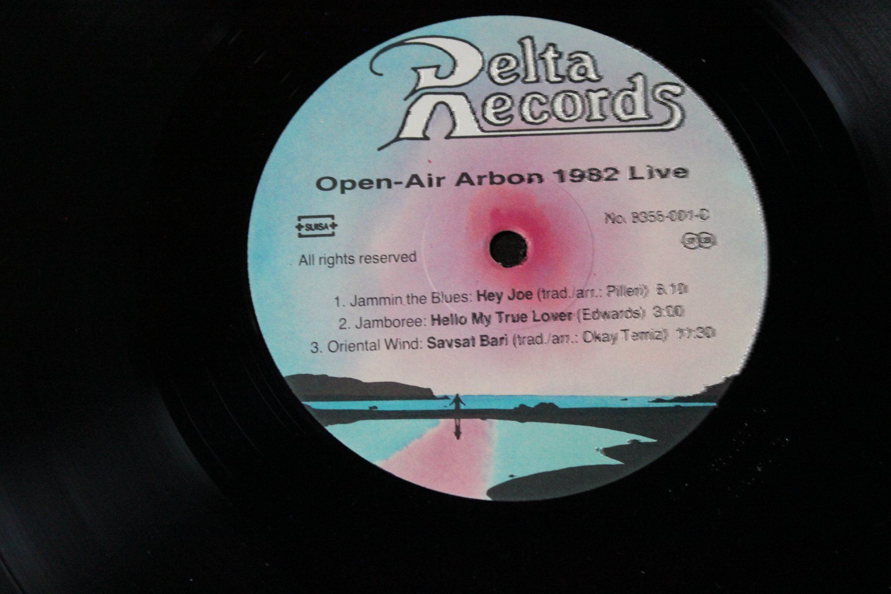 Dischi in vinile: Open-Air Arbon 1982 2LPs Vinyl RAR!!!!! – Usato da Tübach venduto da JamesStone 6