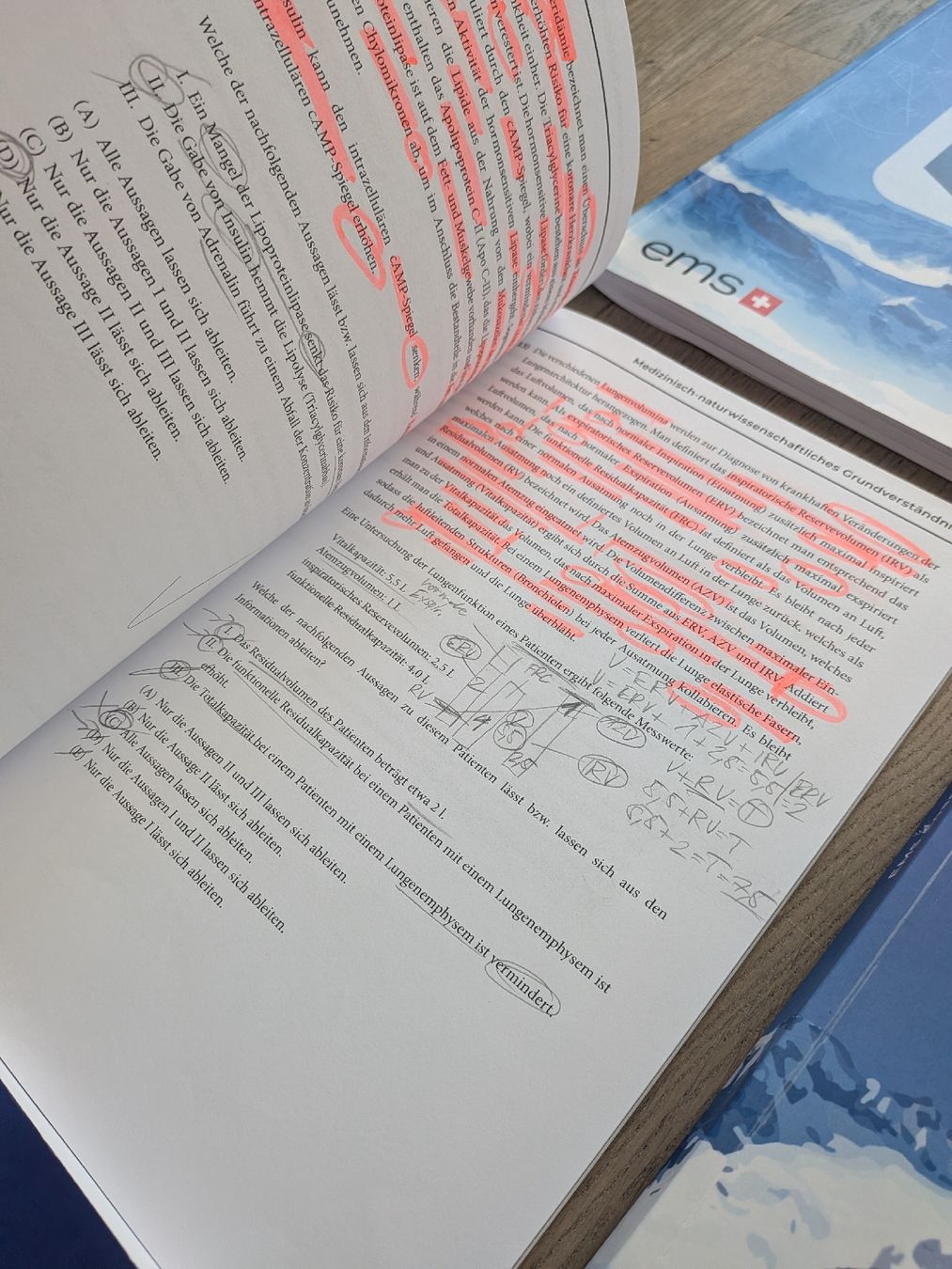 Libri: Ems Coaches NC Lernpaket 1 – Usato da Burgdorf venduto da Laur1nd 8