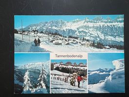 AK Flumserberge Tannenbodenberg ungelaufen(G5436)