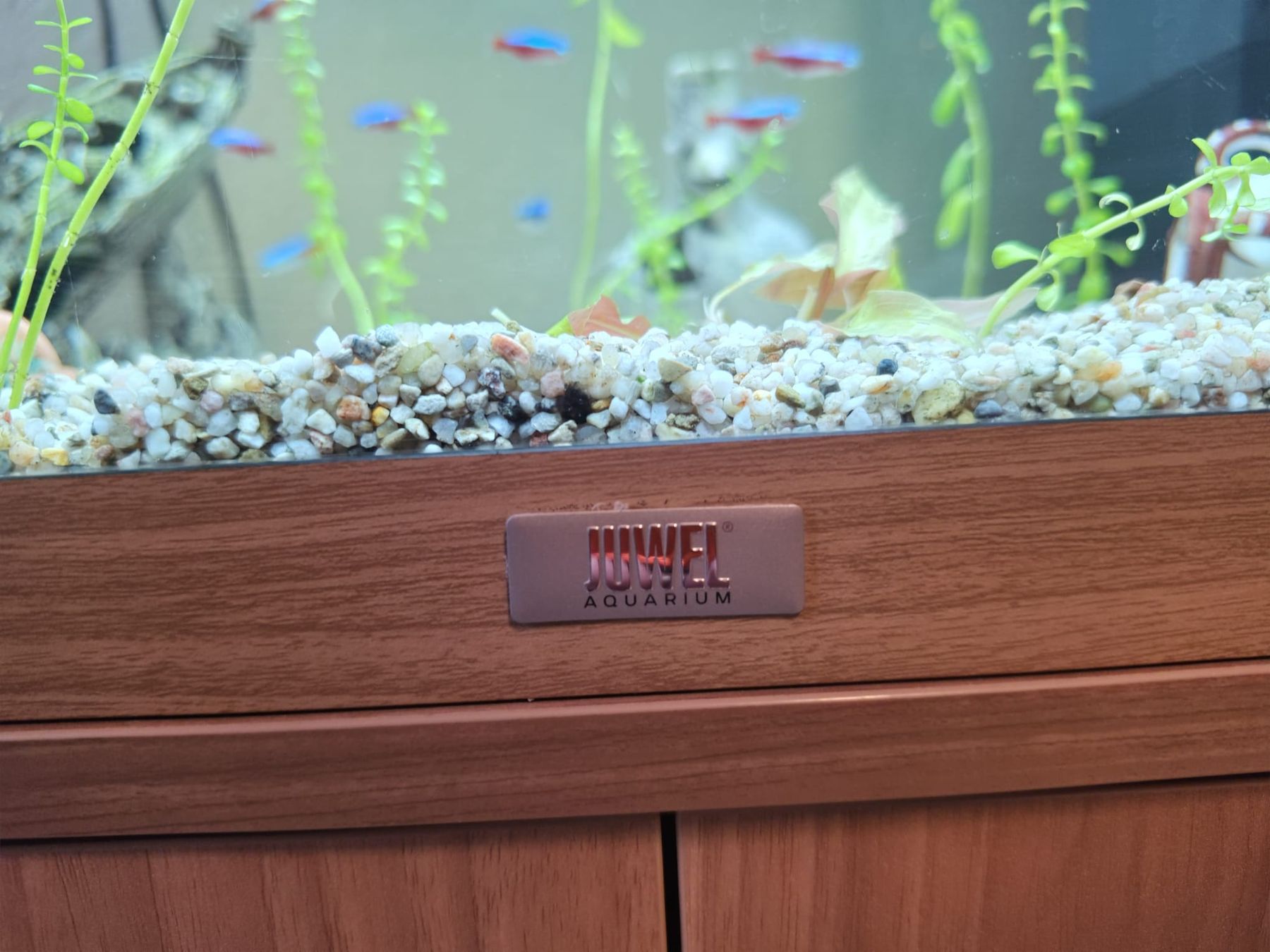 Juwel Aquarium: Aquarium – D'occasion à Weier im Emmental par Matthias079 6