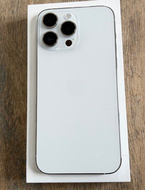Apple Telefoni cellulari / Smartphones: iPhone 14 ProMax 512GB Silver – Usato da Egerkingen venduto da k1971 1