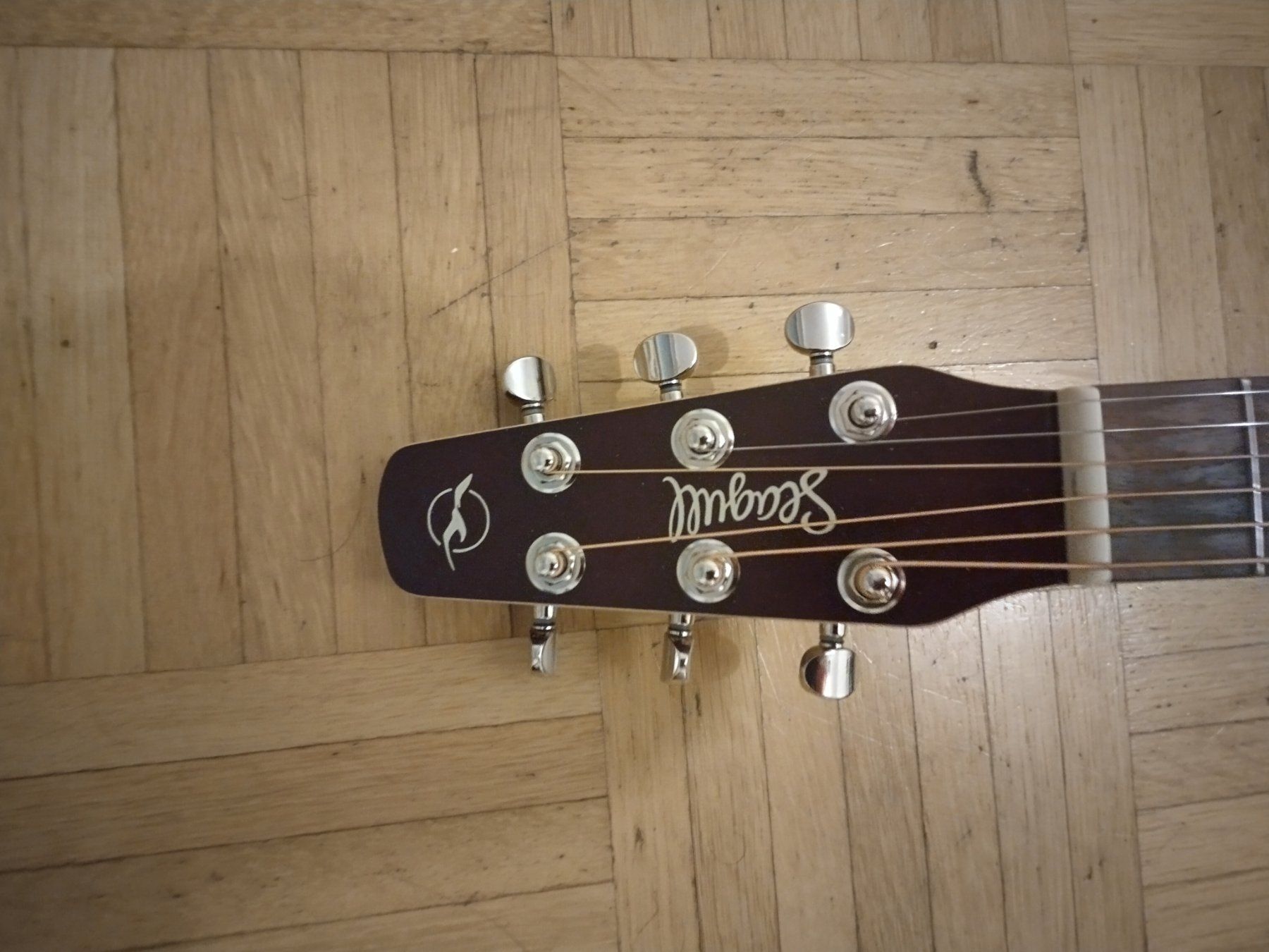 Seagull Strumenti musicali: Seagull Entourage Cutaway Presys 2 – Usato da Basel venduto da kea_9jr9 1