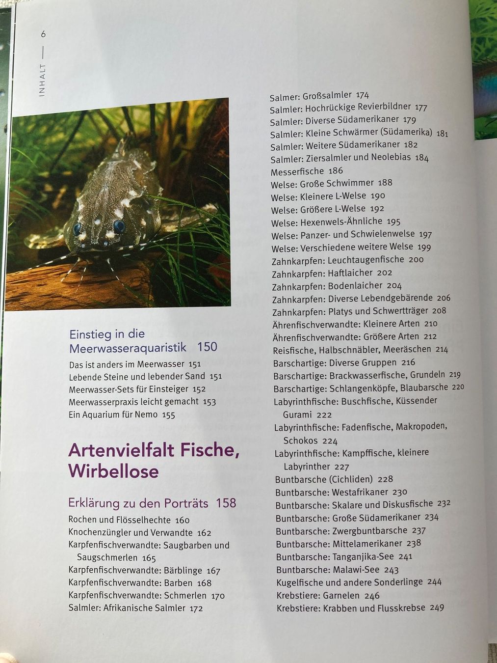 Libri: Praxishandbuch Aquarium – Usato da Baden venduto da Yoyo1 2