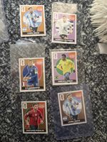 Panini FIFA World Cup Stickers Collection