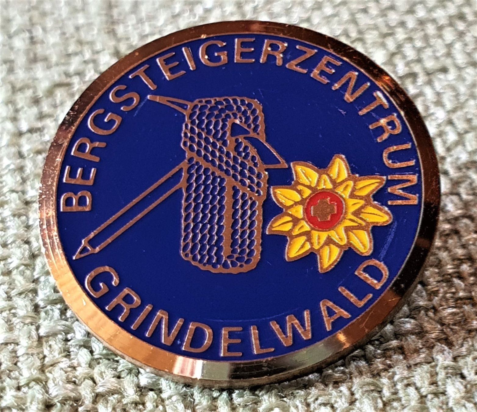 Placchette & Badge: F168  Pin Bergsteigerzentrum Grindelwald – Usato da Reinach BL venduto da Boston-Verkauf