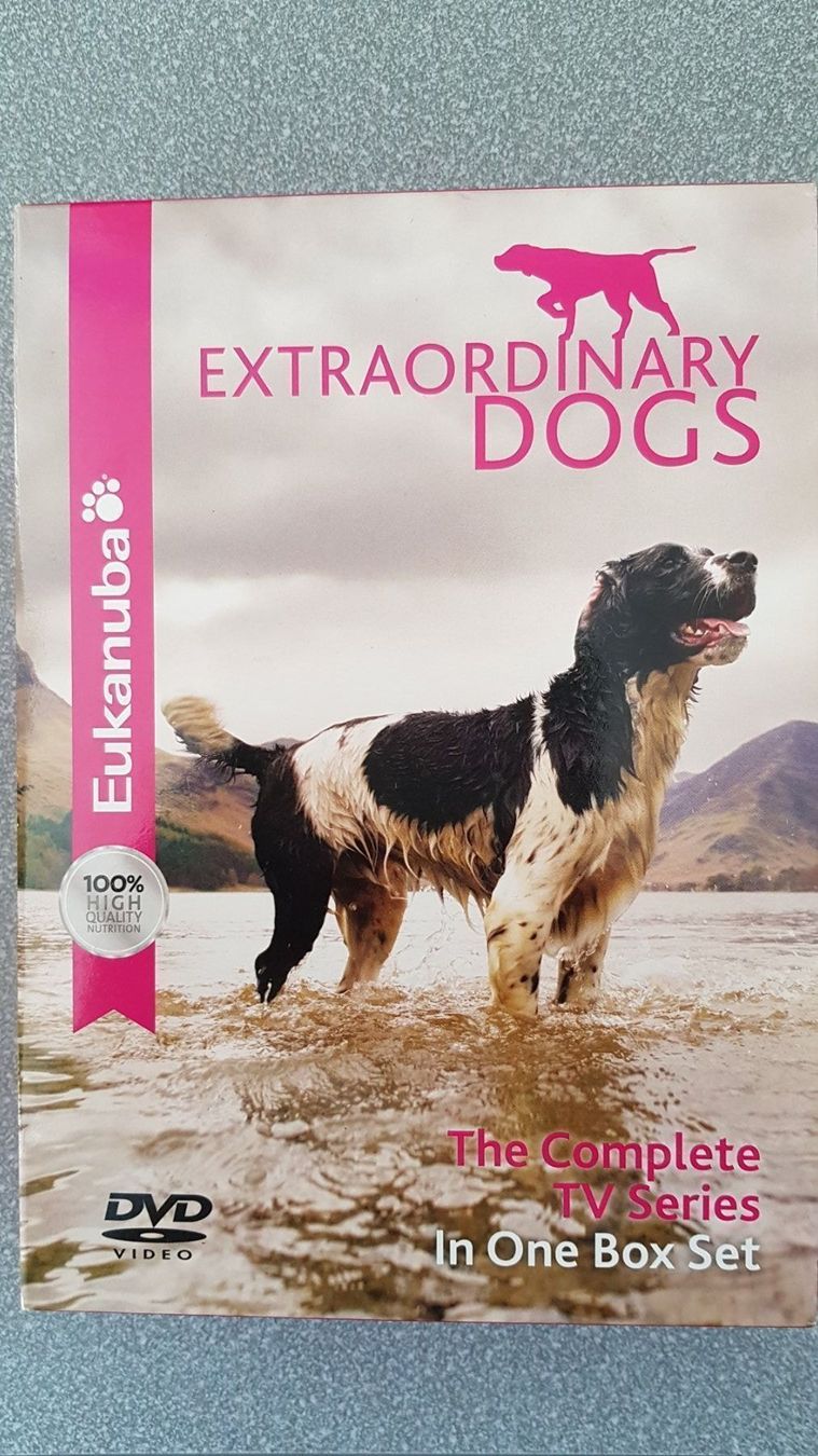Tous les DVDs: DVD Extraordinary Dogs – D'occasion à Oetwil am See par fineli2