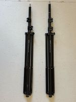Walimex WT-806 Lampenstative 256cm – 2 Stück mit Tragetasche