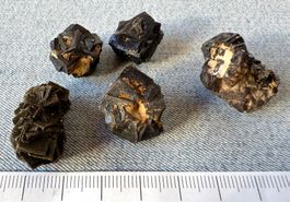 Limonites   Pyrit  top.  interessante Geschenk Idee