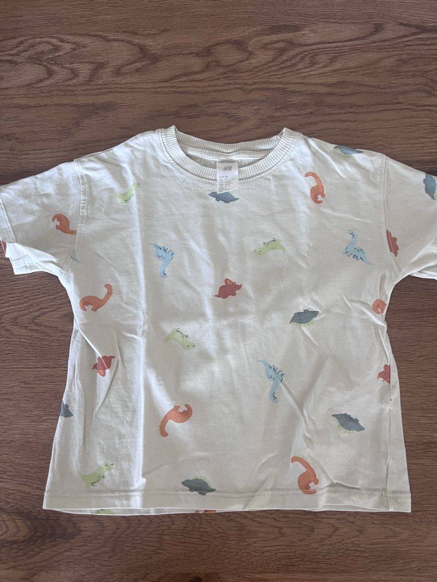 H&M Hemden, T-Shirts & Polos: H&M Dino Tshirt Gr. 98 – Gebraucht aus Zollikerberg von LLV 1