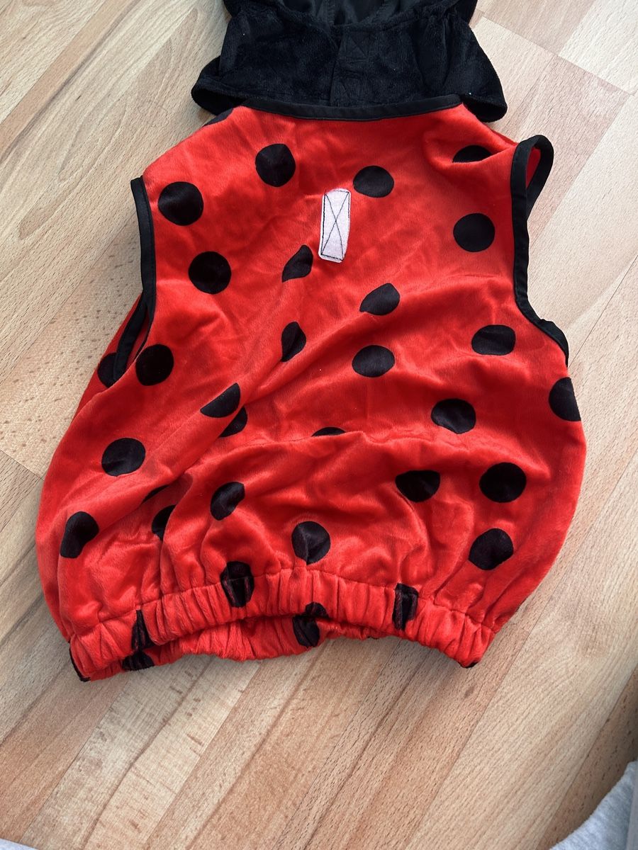 Costumes: Marienkäfer Kostüm Grösse 86/92  – D'occasion à Winterthur par simi82 1