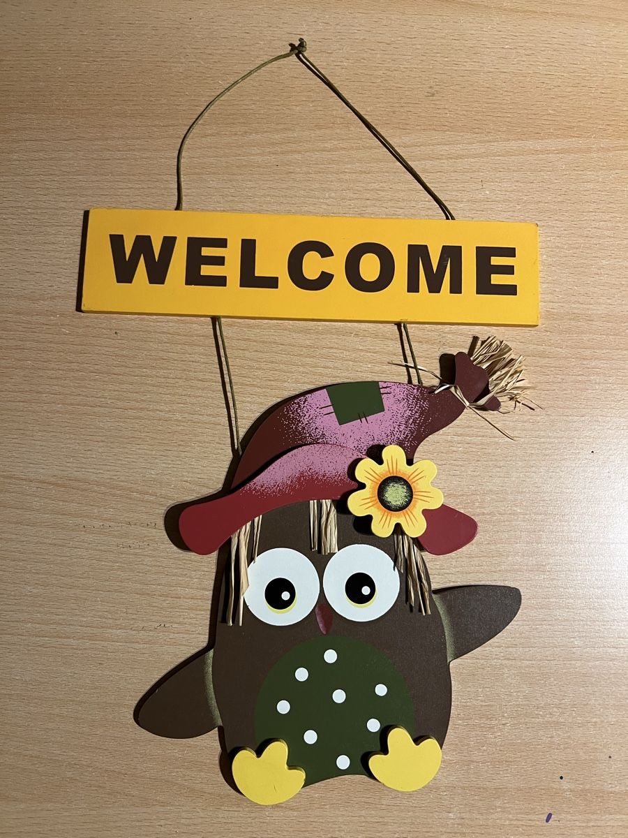 Tutte le decorazioni: Türschild Welcome Herbst Eule – Nuovo (secondo la descrizione) da Rupperswil venduto da sige82
