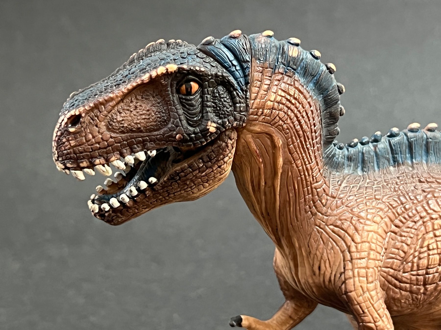 Schleich Figuren: Schleich Acrocanthosaurus 14584 Dino Dinosaurier – Gebraucht aus Ennetbaden von mapa05 5