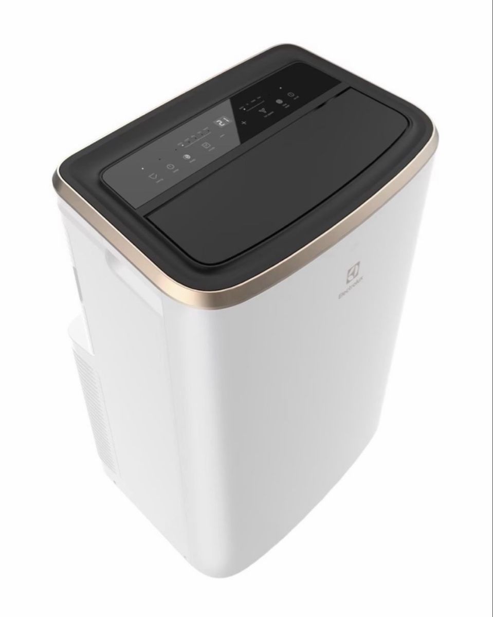 Electrolux Climatiseurs: Electrolux Chill Flex Pro Gold – D'occasion à Küsnacht ZH par starsandmoons 1