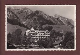 CHÂTEAU D'OEX - La Soldanelle