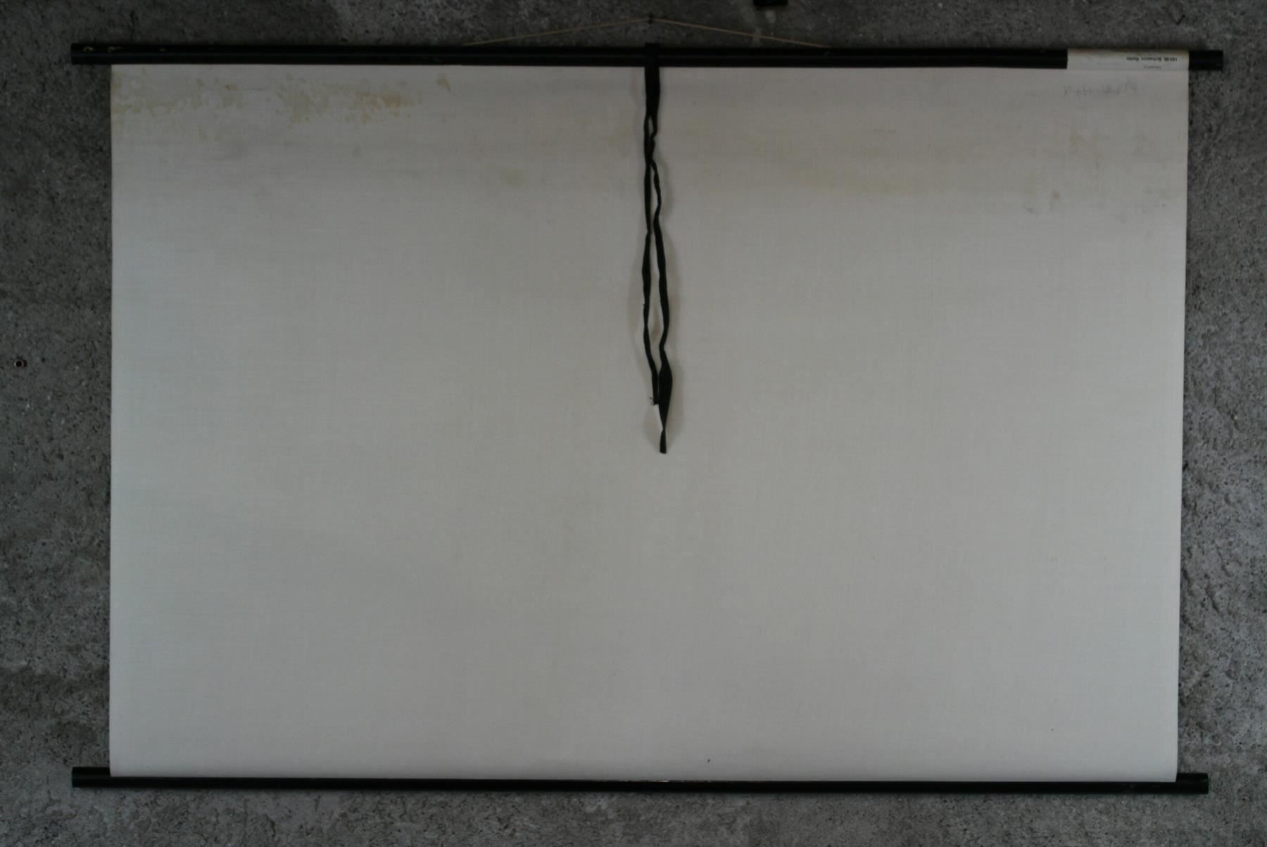 Foto & Immagini: Schulwandbild, Lehrtafel, Schwein, Ratte – Usato da Birrwil venduto da brandschatz_birrwil 7