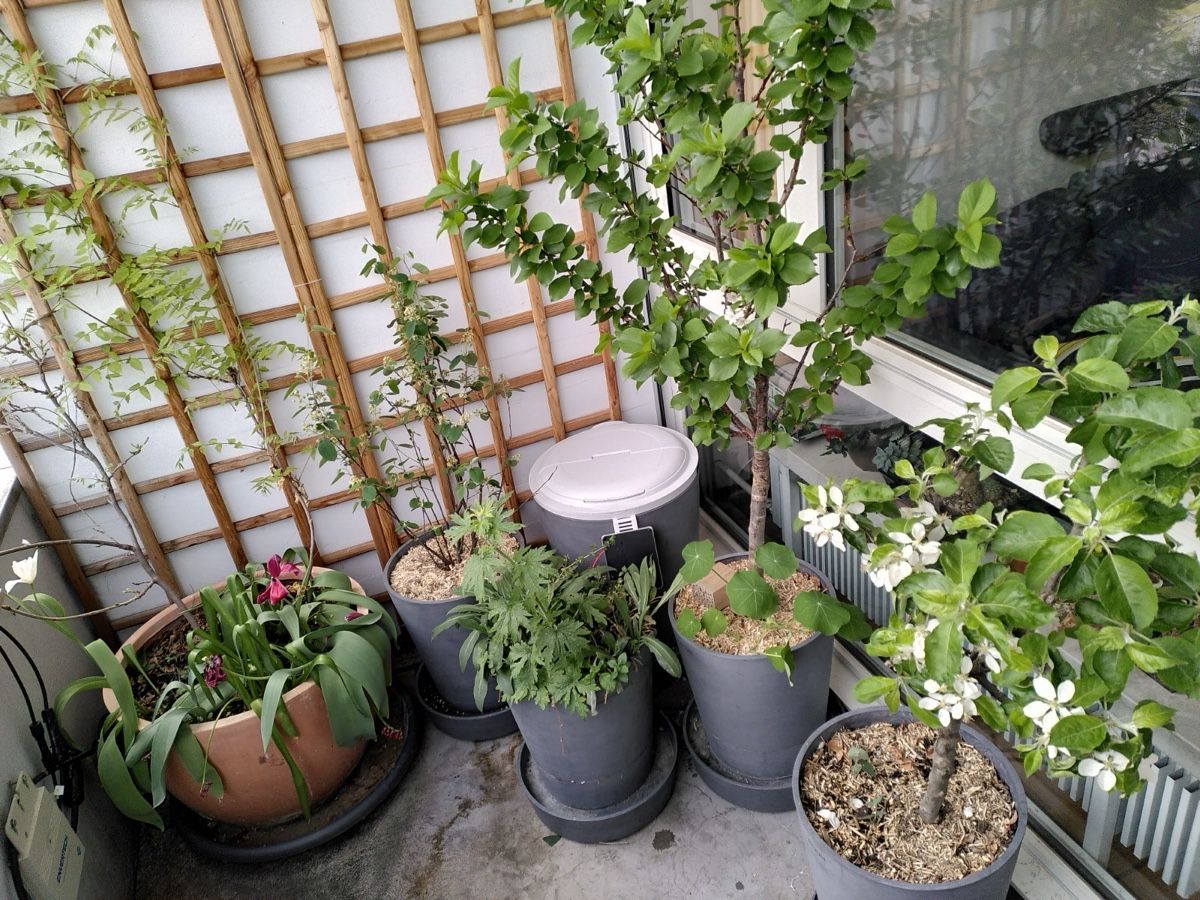 Vasi per fiori: BOUM Pflanzentöpfe mit Bewässerungssystem, Grau – Usato da Basel venduto da Roswitha91