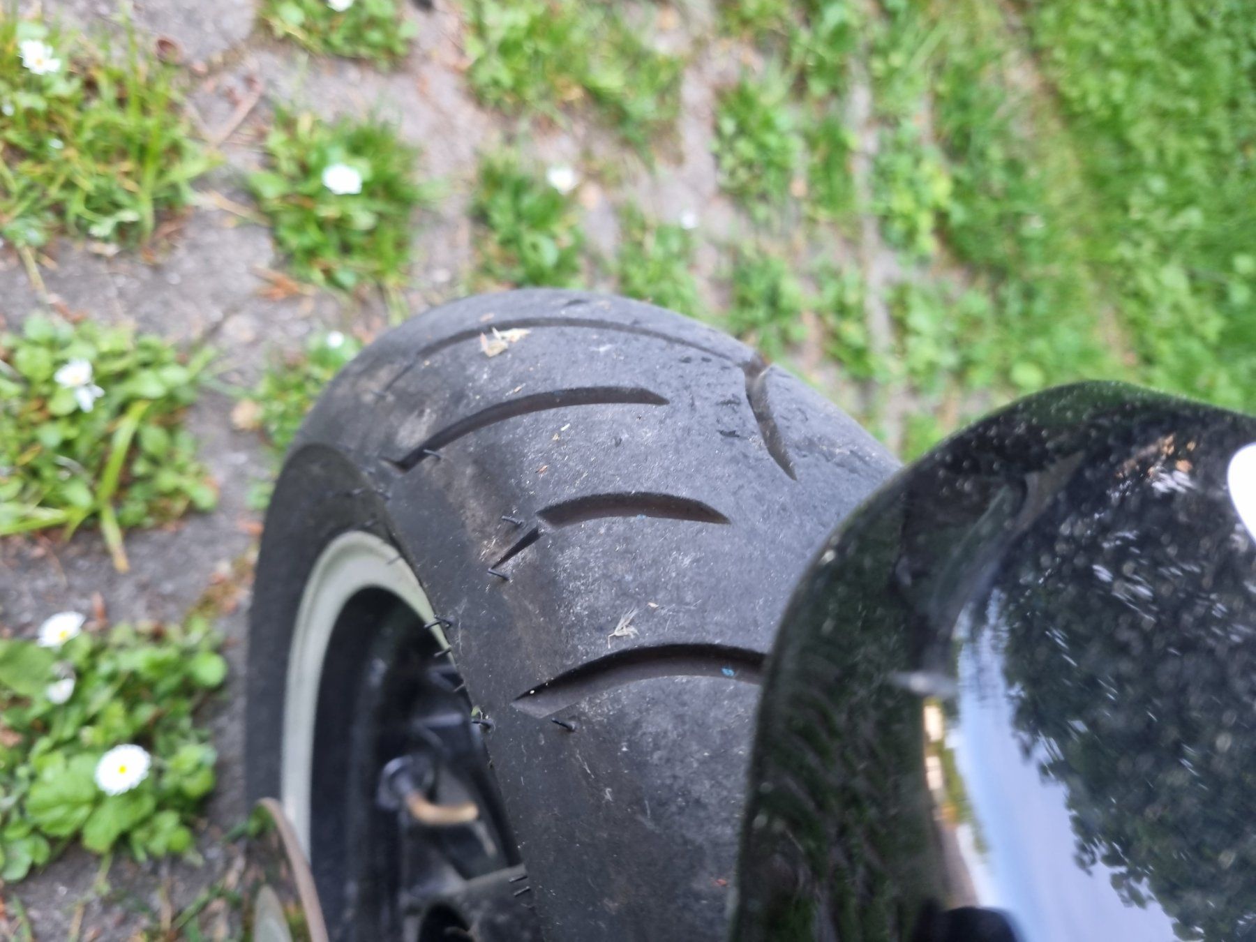 Scooters: Motobi, 2017, fährt gut – Gebraucht aus Wädenswil von dubida 3