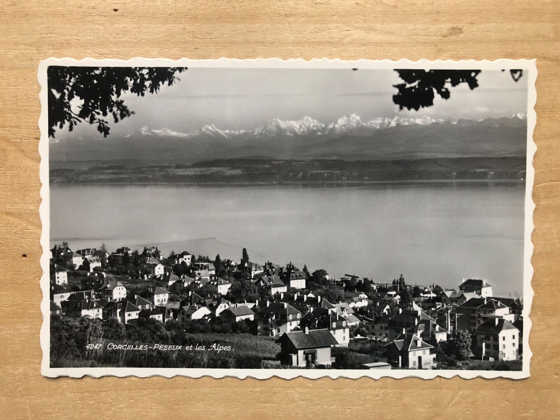 Cartoline postali: Corcelles-Peseux et les Alpes – Usato da Neuchâtel venduto da Atahuallpa
