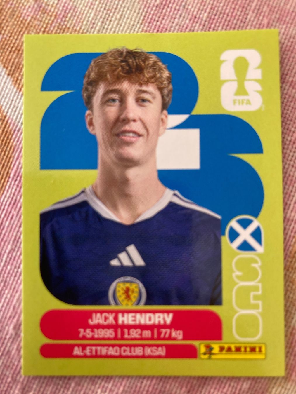 Panini Carte collezionabili: WM Sticker SCO 3 – Nuovo (secondo la descrizione) da Winterthur venduto da Whitefish