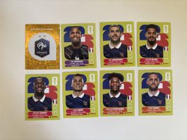 Panini: FRA 1,FRA 2,FRA 3,FRA 4,FRA 6,FRA 8,FRA 9,FRA 12