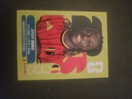 panini BEL 16