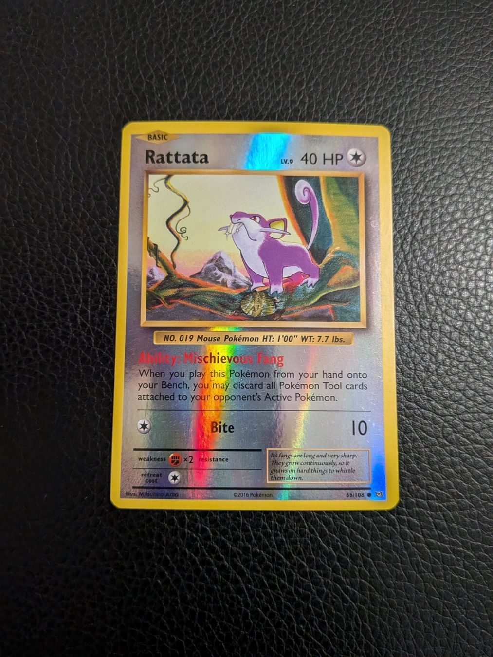 Pokémon Carte collezionabili: Evolutions Rattata reverse 66/108 Ab 1 – Usato da Paradiso venduto da Pkmn10