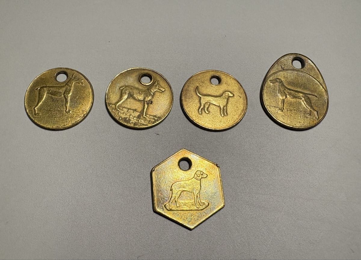 Kletterausrüstungen: Alte Hundemarken – Gebraucht aus Birrwil von kaestli