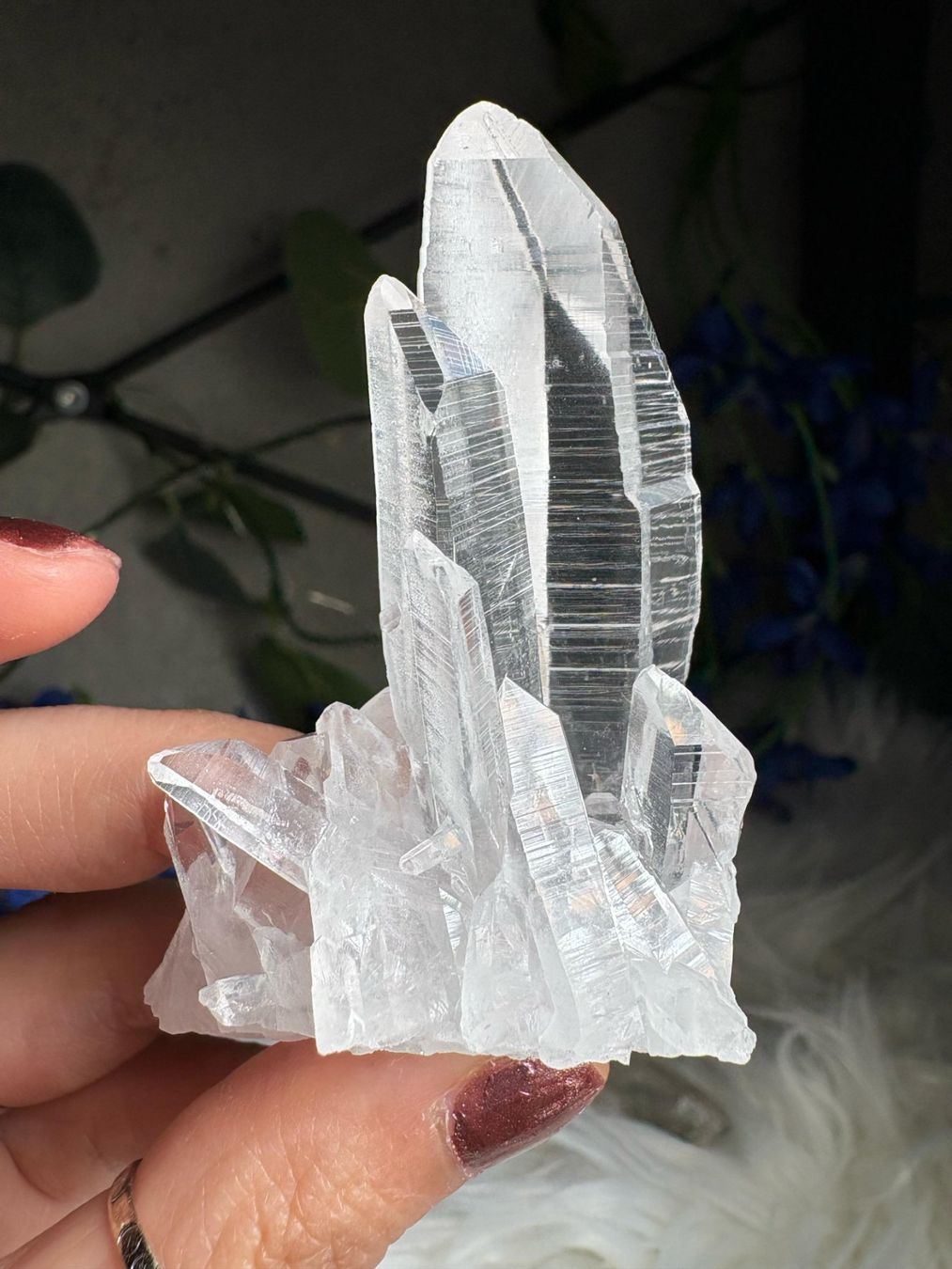 Minerali & Pietre curative: Kolumbianischer Lemurian-Quarz-Cluster – Nuovo (secondo la descrizione) da Neuheim venduto da m.hald