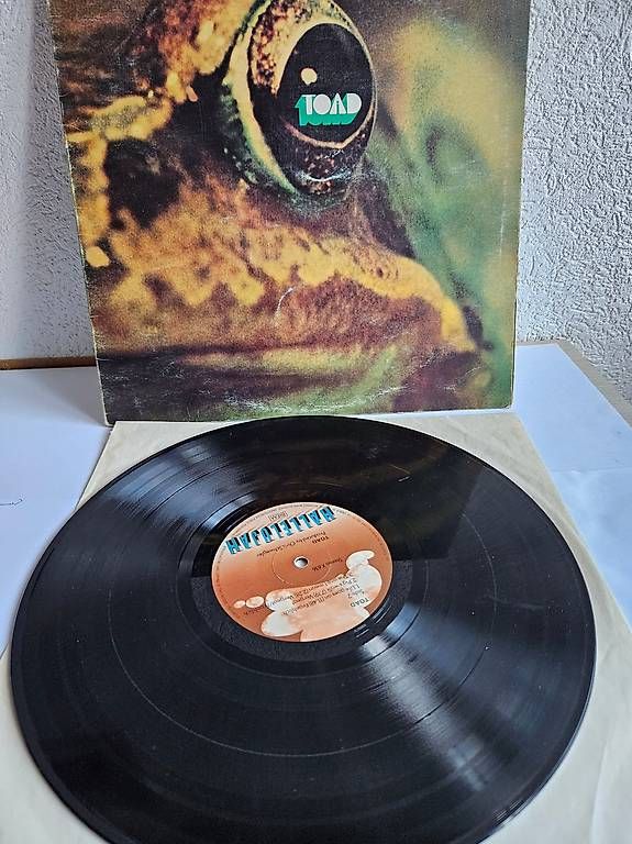 Vinyles: vinyl TOAD – D'occasion à St-Barthélemy VD par steepy33 4