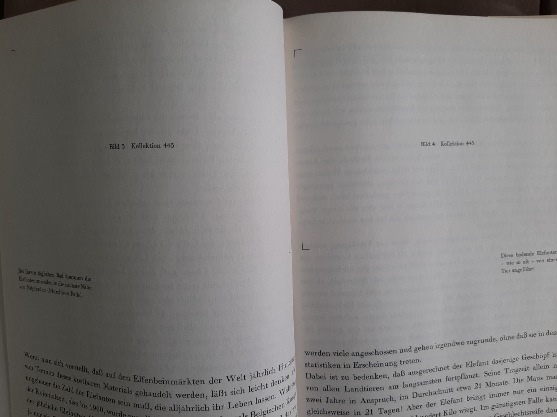 Libri: zoo ostafrika  /diverses – Usato da Laupen BE venduto da Gufi57 6