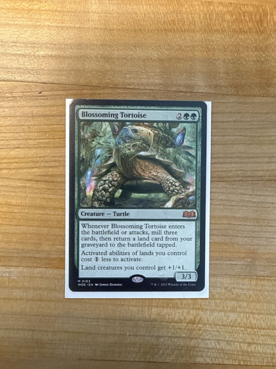 Magic The Gathering Carte collezionabili: Mtg-blossoming tortoise – Usato da Trogen venduto da noe_5gs2