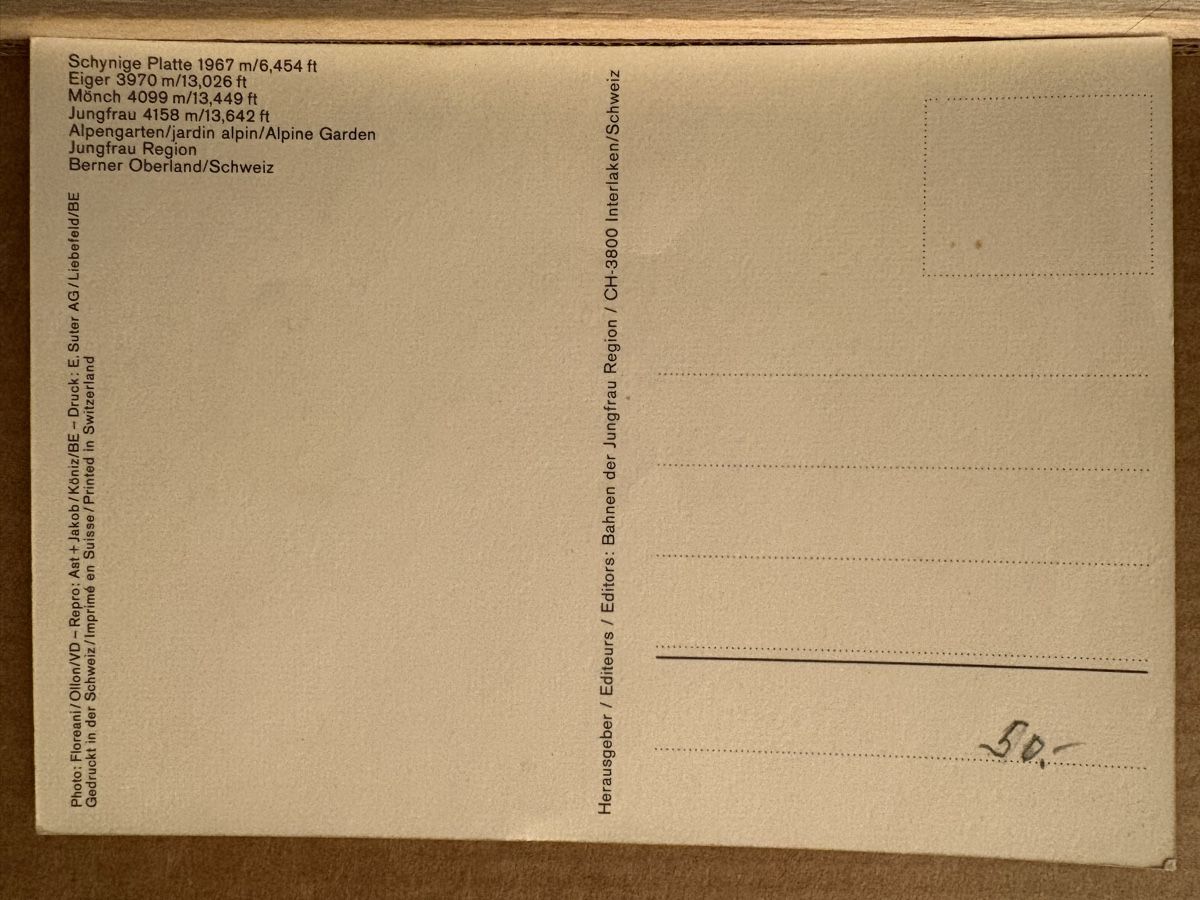 Cartoline postali: Ak von Schynige Platte – Usato da Rümlang venduto da Kartenpost1 1