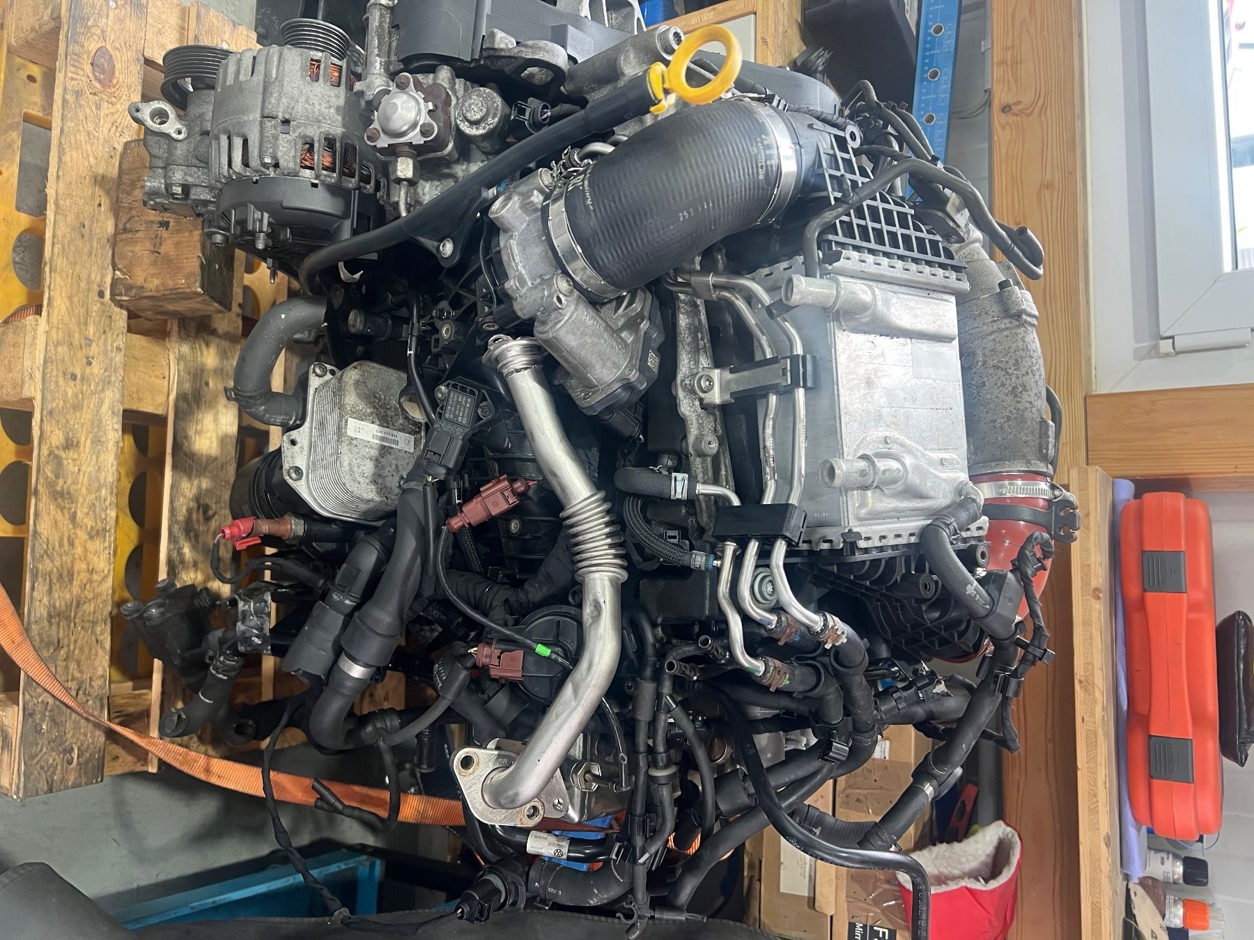 VW Motoren: VW T6 Motor CXEB – Gebraucht aus Neuenkirch von tia_ky55