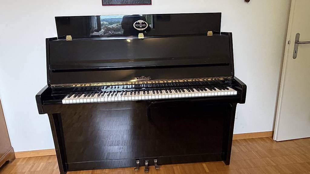 Strumenti musicali: Schimmel Klavier schwarz poliert 112/5 – Usato da Uitikon Waldegg venduto da bingo007.