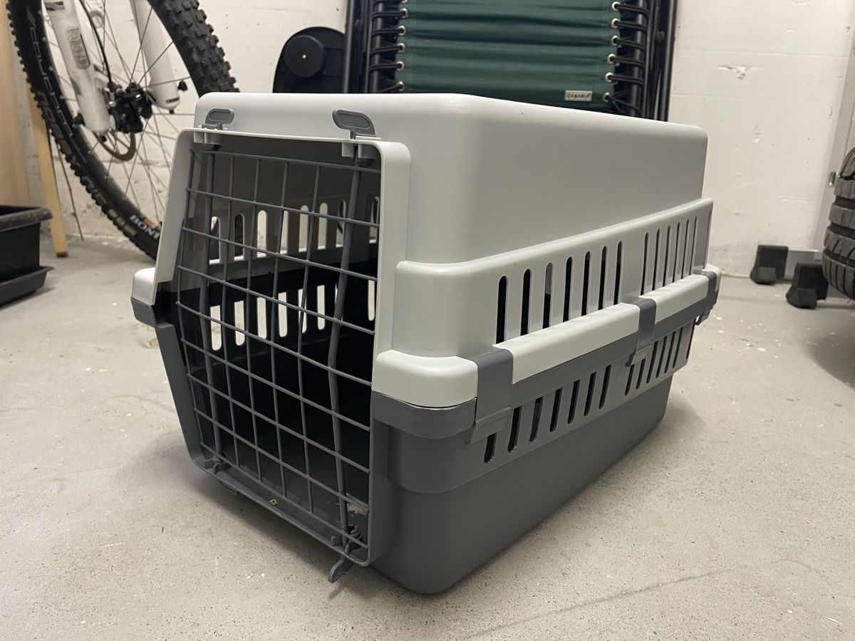 Gabbie, trasporto & Sicurezza: Katzentransportbox Grau/Weiss gebraucht – Usato da Frutigen venduto da Blue_020 2