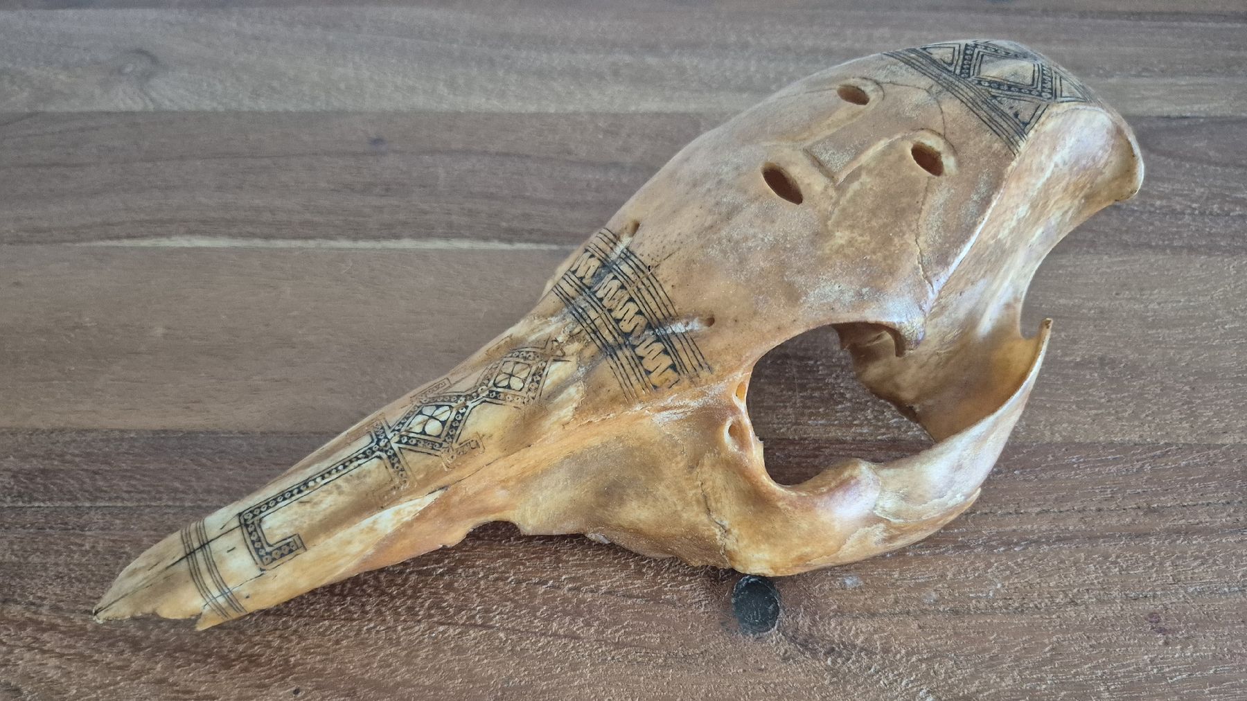 Maschere: Timor Maske – Usato da Zürich venduto da Dalema13 2