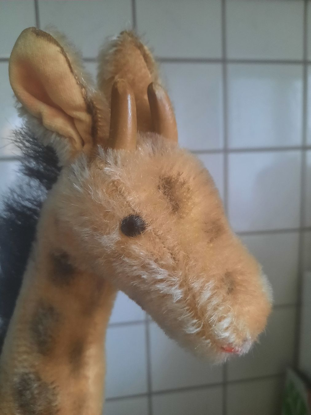 Steiff Giocattoli: STEIFF, grande GIRAFE, 50 cm. – Usato da Le Locle venduto da marylise01 3