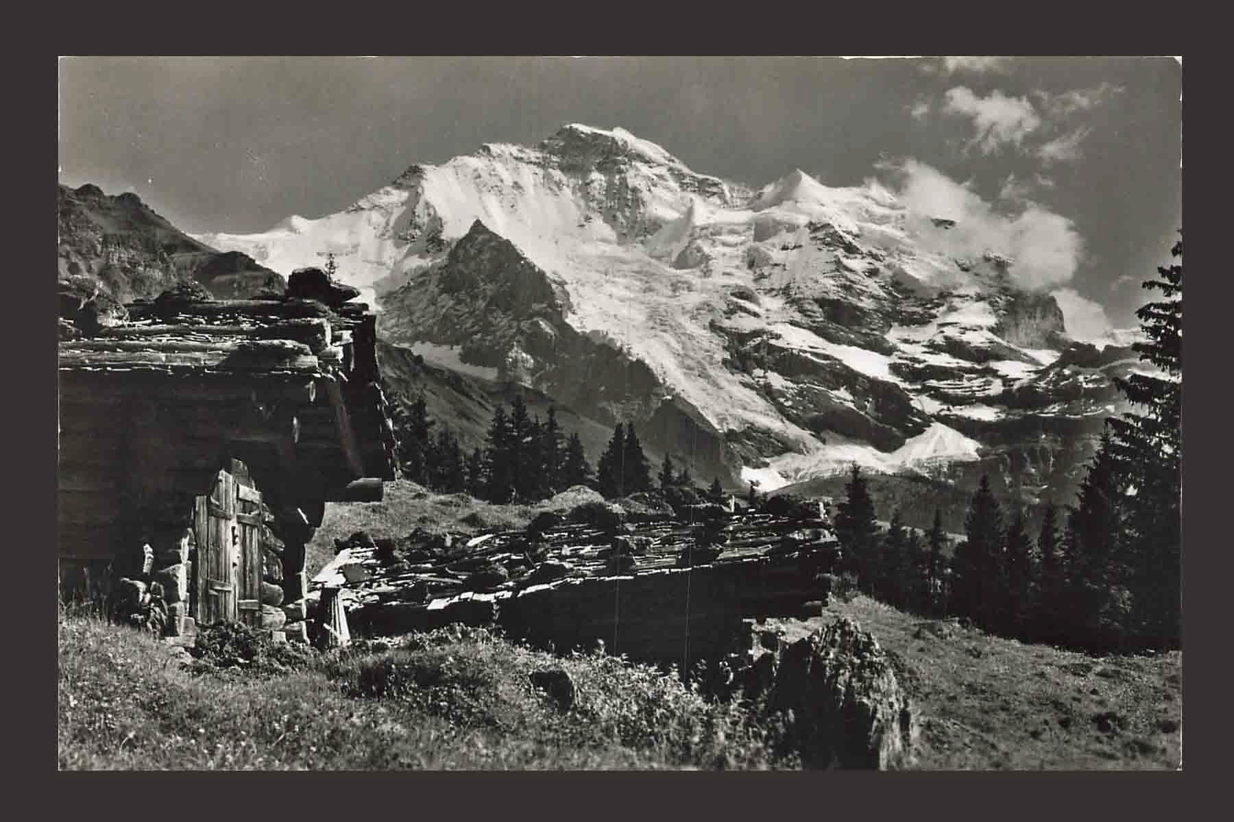 Cartoline postali: AK Bei Wengen Jungfrau – Usato da Goldau venduto da artelier1