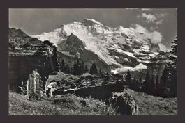 AK Bei Wengen Jungfrau