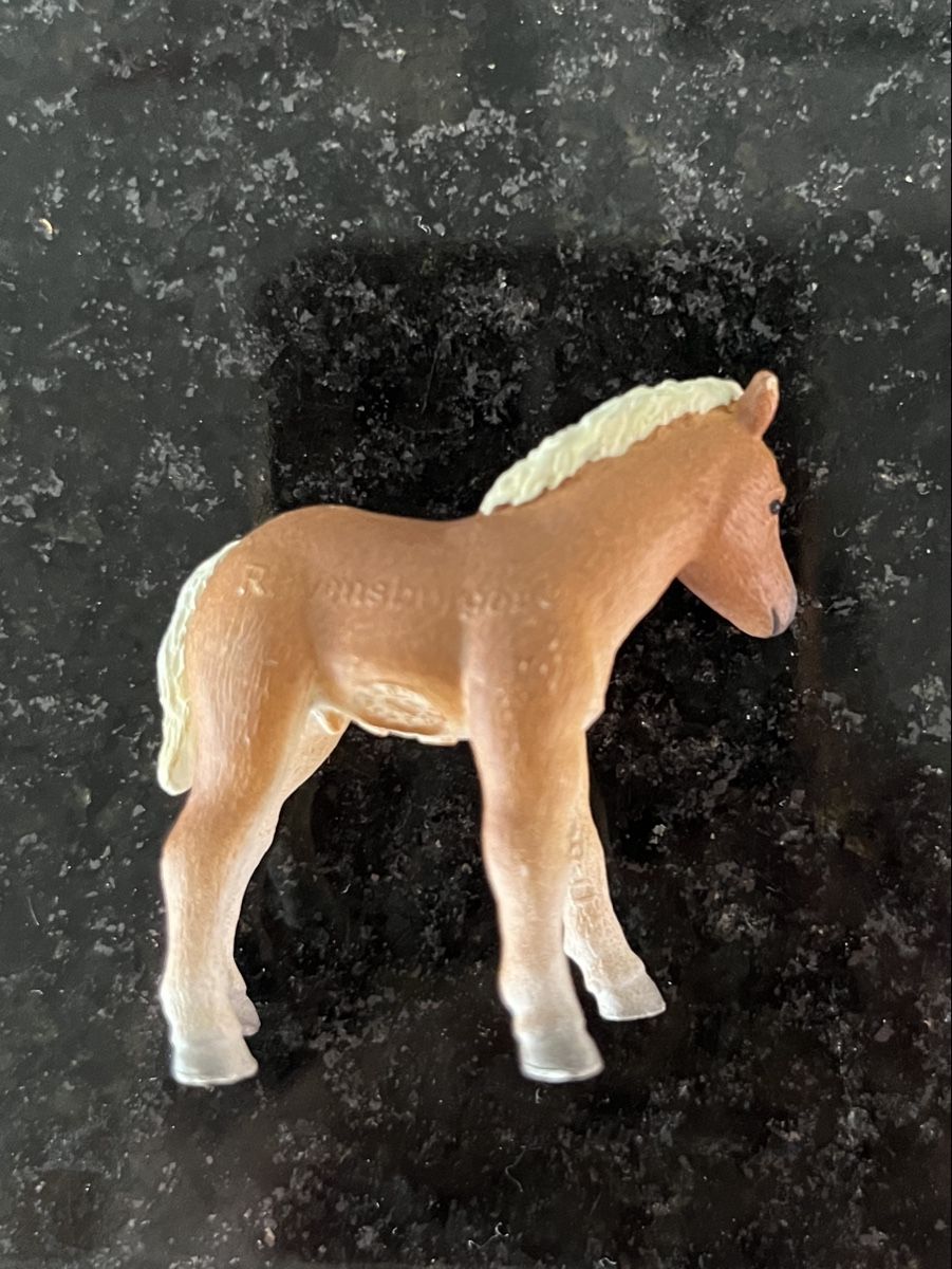 Statuette: Fohlen Ravensburger, Neu – Nuovo (secondo la descrizione) da St. Gallen venduto da reg_f8h8 1