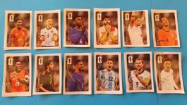 Alle 12 Coca Cola Panini FIFA WM 2026 Sticker - Komplett