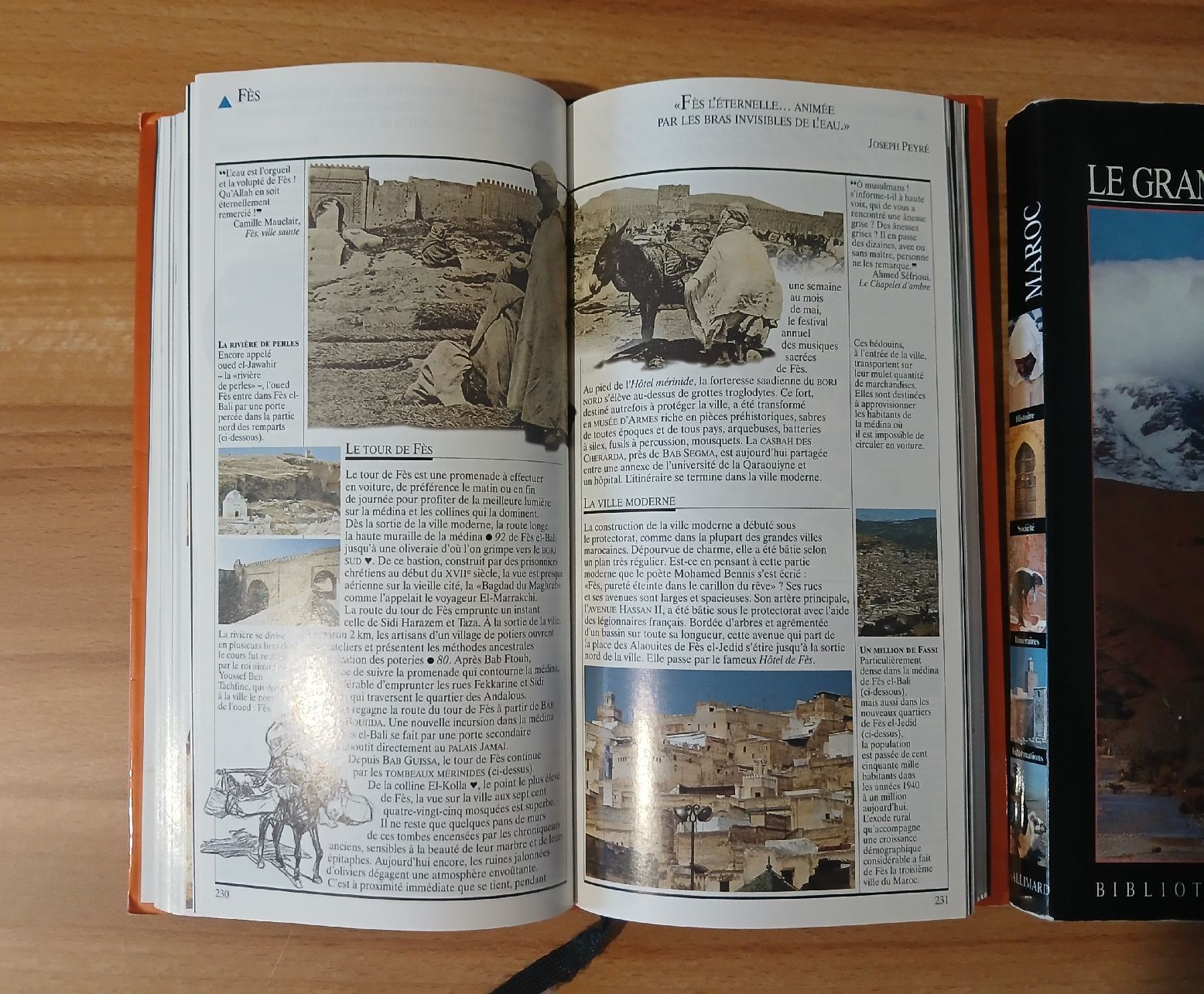 Libri: 2 guides du Maroc – Usato da Le Sentier venduto da arc_2thy 3
