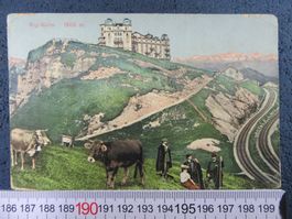 RIGI-KULM 1800mÜM LEUTE KÜHE LU AK BUG