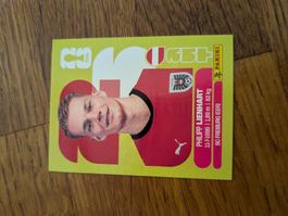 Panini Österreich 6