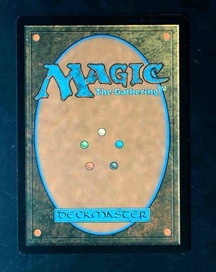 Magic The Gathering Carte collezionabili: Sigarda's Aid - MTG – Usato da Zürich venduto da Semagets 1