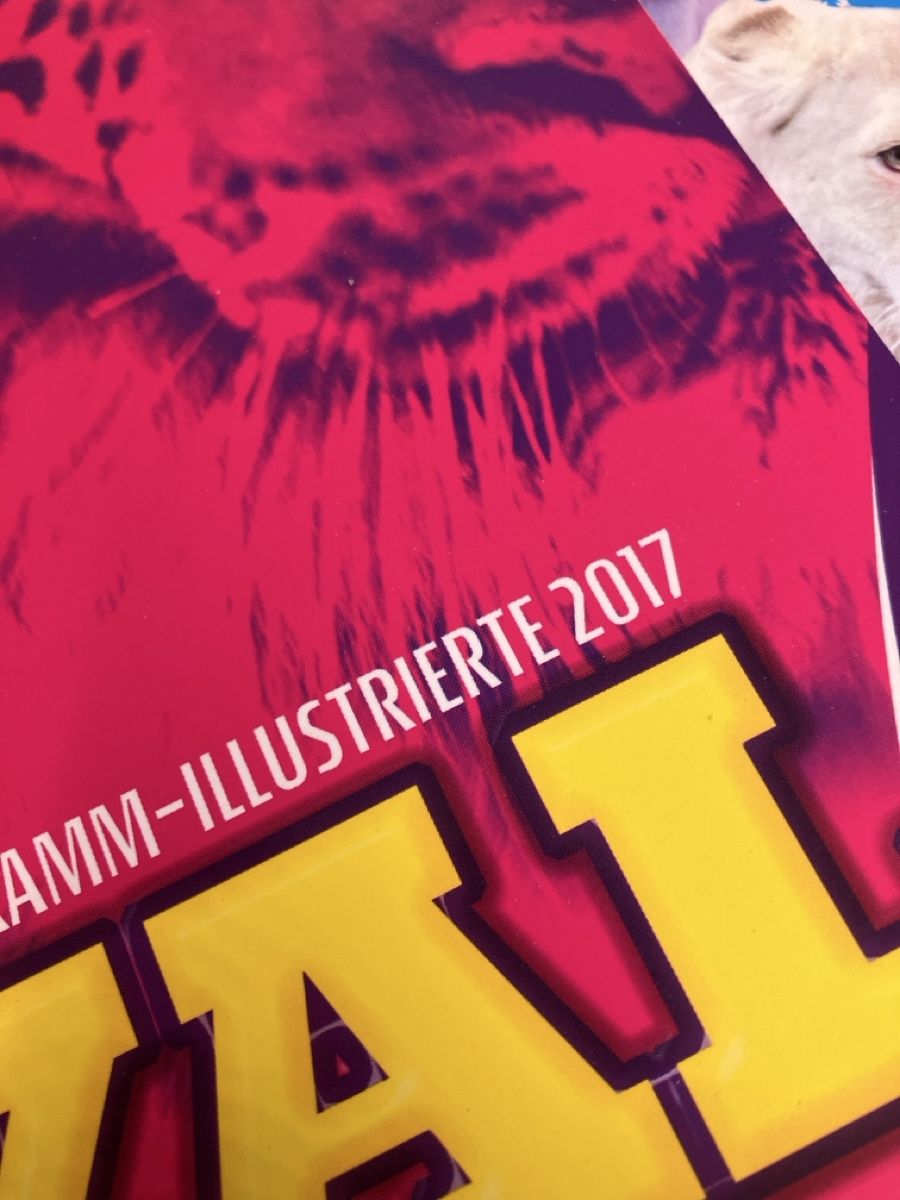 Riviste & Magazine: 4er Set in Zirkuszeitung Royal  – Usato da Erlenbach im Simmental! venduto da Simmentaler-Perlen 1
