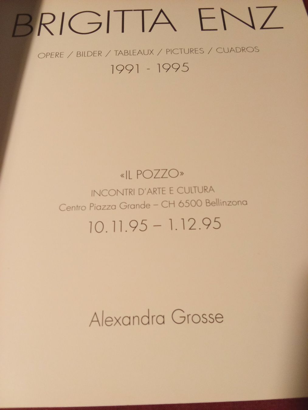 Libri: Alexandra Grosse - Brigitta Enz Bilder 1991-1995 – Usato da Remetschwil venduto da Privatflohmi 1