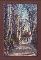 KÜSSNACHT - Hohle Gasse - Tellskapelle - 1917