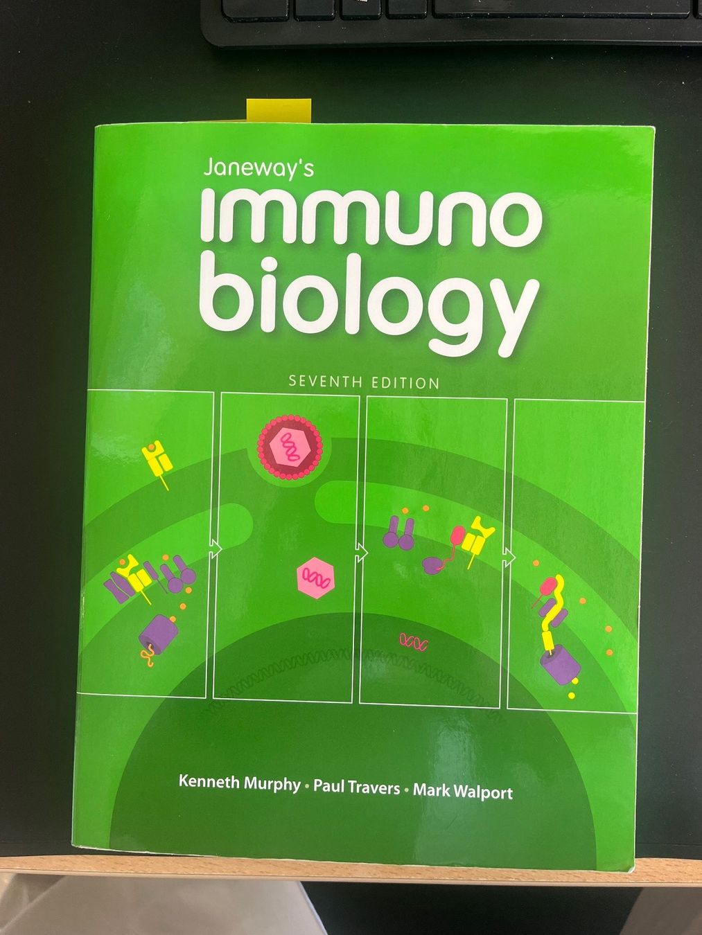 Libri: Immunology 7th edition – Usato da Melano venduto da dda_7glh
