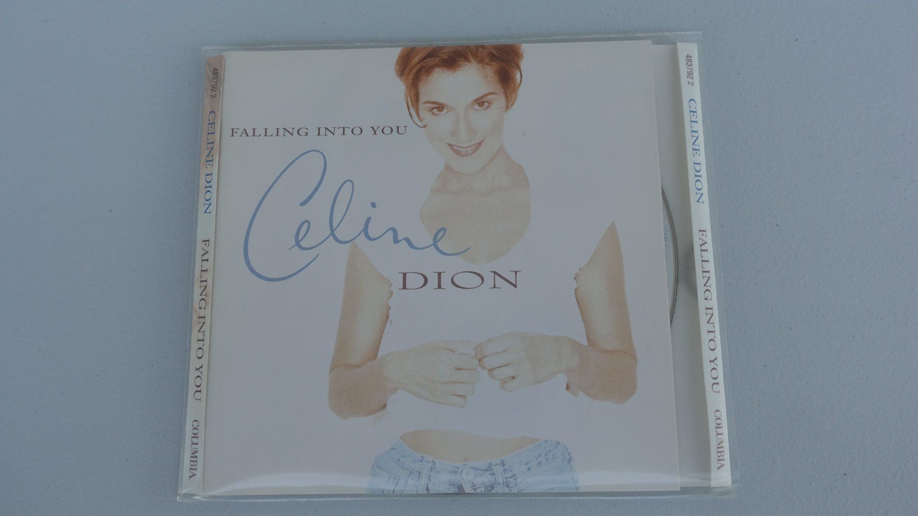 CD: CD - Céline Dion - FALLING INTO YOU – Usato da Schwyz venduto da Burnsdesign